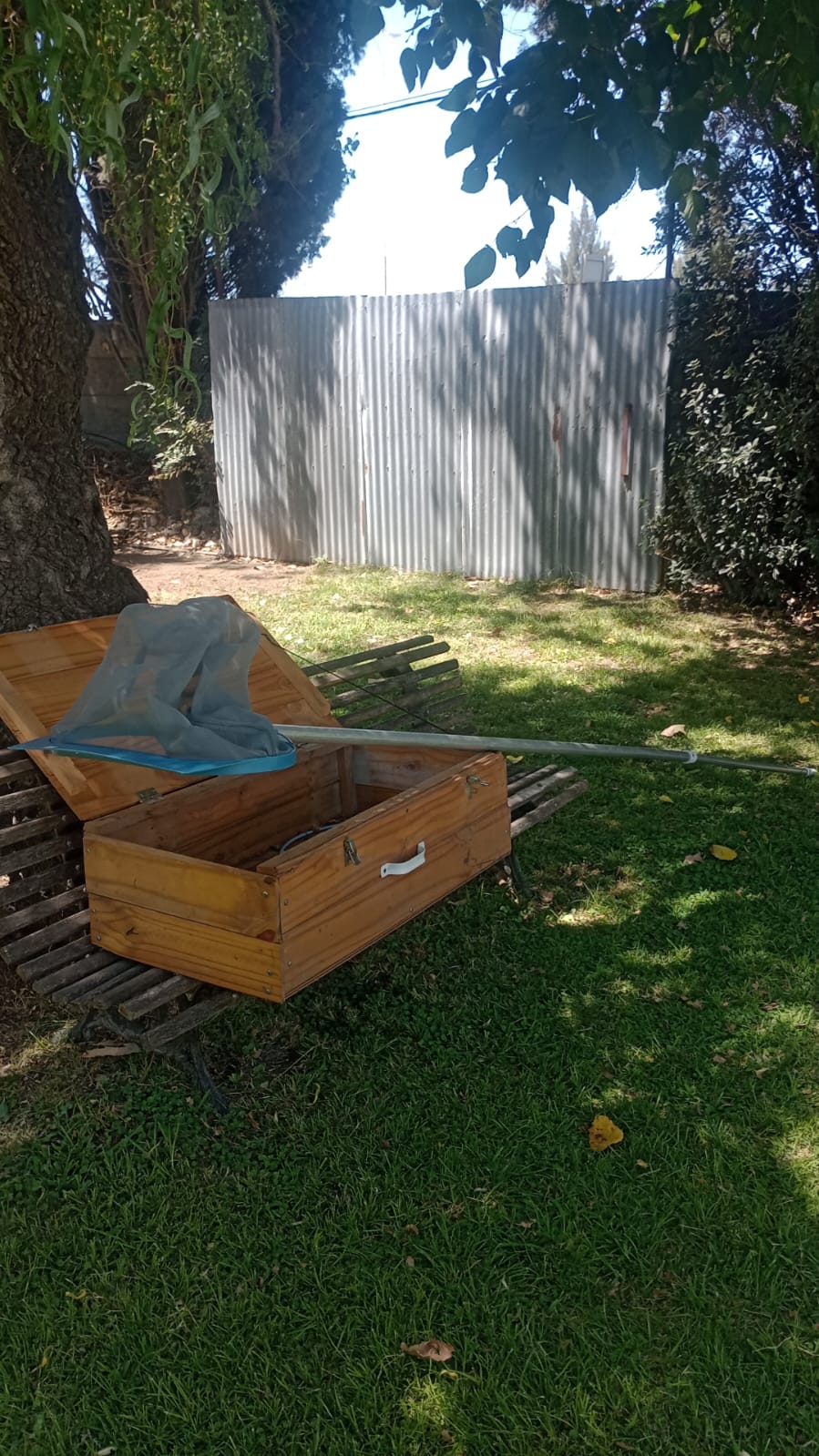 WhatsApp Image 2025-02-01 at 11.46.52.jpeg